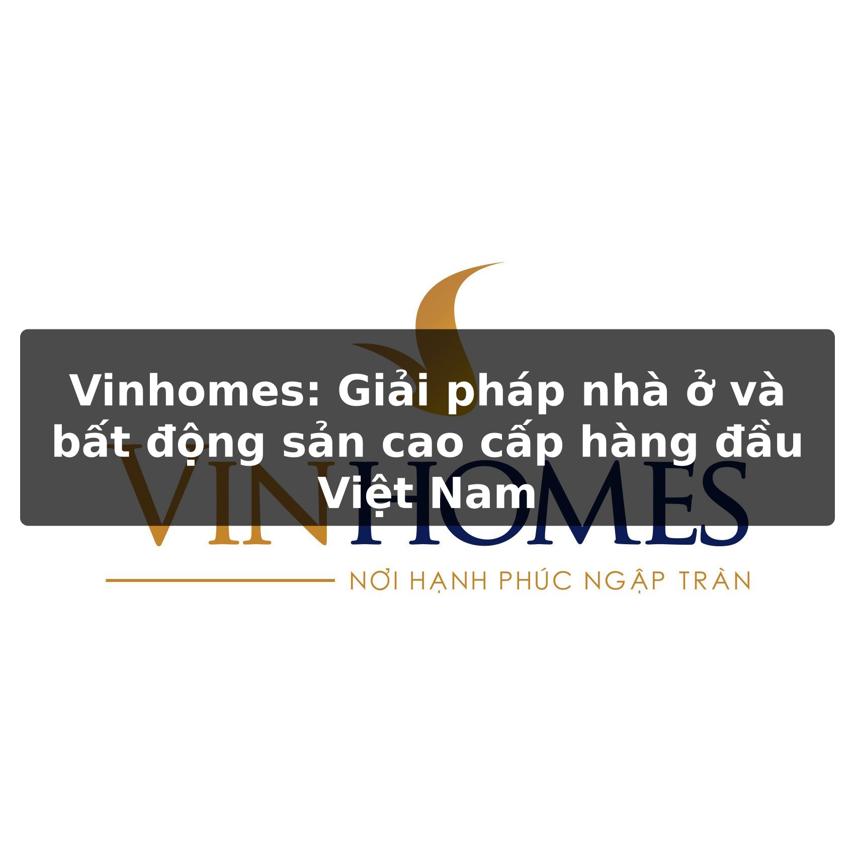 Vinhomes: Đánh giá chi tiết chủ đầu tư bất động sản số 1 Việt Nam