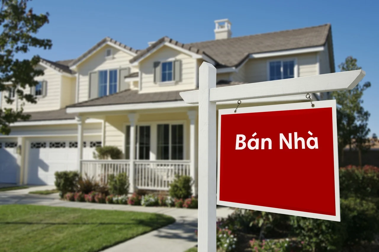 Cần Giờ 2024: Đánh giá cơ hội & rủi ro đầu tư